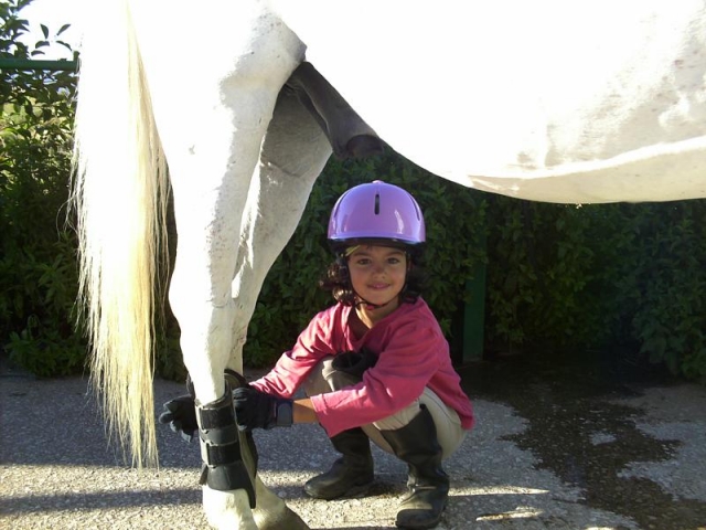  Participant in equestrian camp 